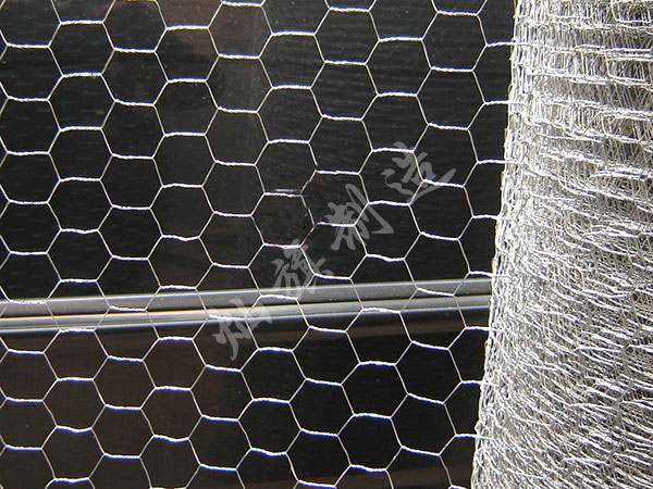 山東六角網(wǎng)圖片2