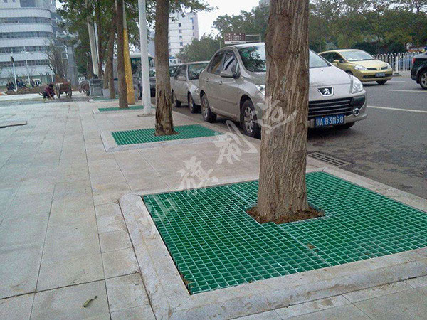 貴陽樹池蓋板圖片1
