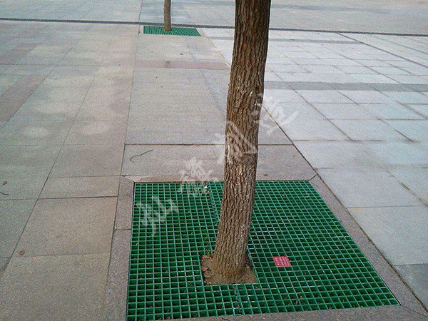 貴陽樹池蓋板圖片2