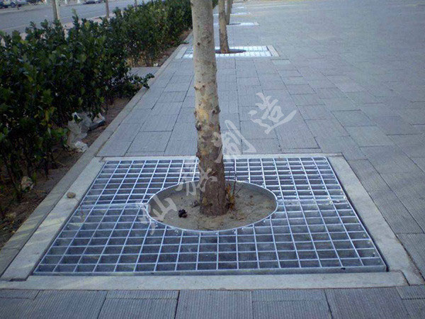 貴陽樹池蓋板圖片3
