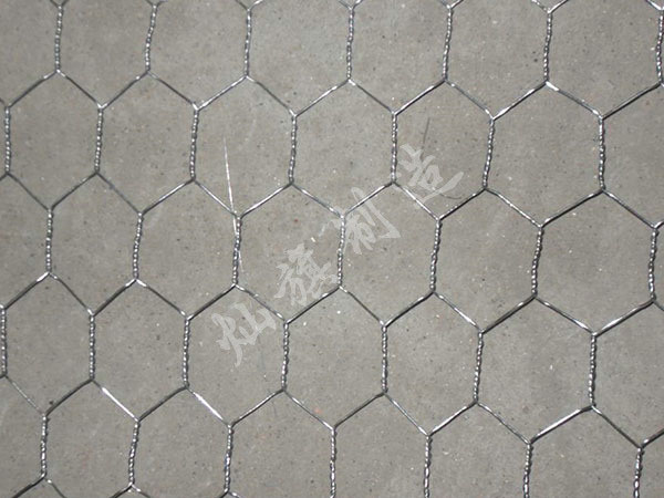 山東六角網(wǎng)圖片1